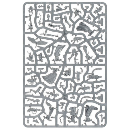 Adepta Soroitas Battle Sisters Squad